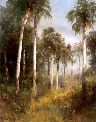 Royal Palms