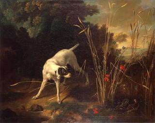 Dog Pointing a Partridge