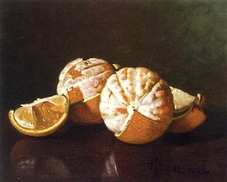 Still Life with Oranges