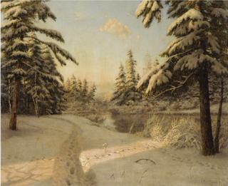 Winter Sunlight