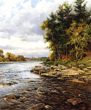 Pine Trees by the River