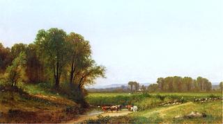 Cattle in Pasture