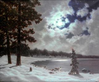 Winter Moonlight