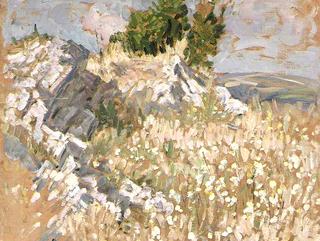 Coastal Landscape