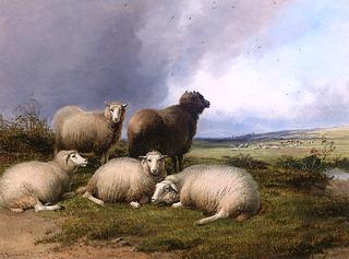 Sheep in a Landscape