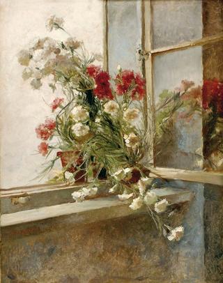 Sweet William in the Window