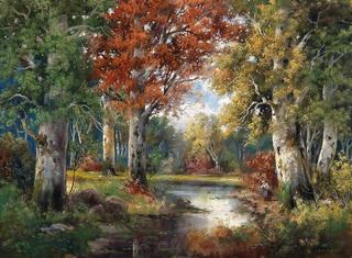 Autumn Woodland