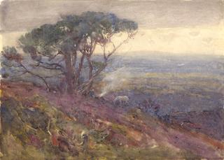 A Moorland View