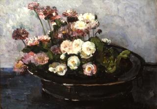 Daisies