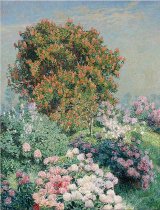 Flower Garden