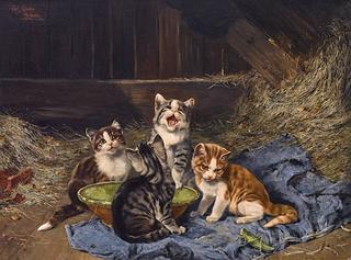 Four Kittens with Grasshopper in a Stable