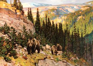 Out of the Canyon