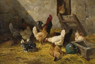 Hens and Roosters