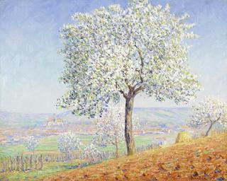 Trees Blooming at Villeneuve-sur-Yonne