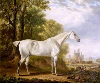 'Billy' a Favourite Horse of James Dearden, Esq.