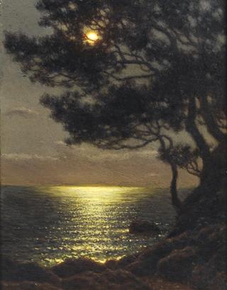 Moonlit Coast