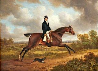 A Gentleman on a Bay Horse
