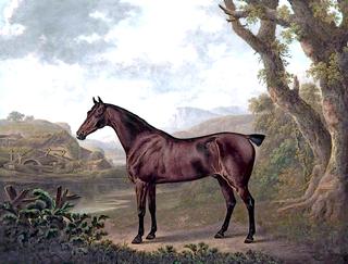 Bay Horse in a Mountain Landscape