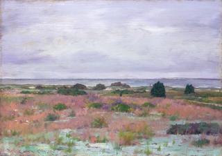 在海滩附近，辛奈考克