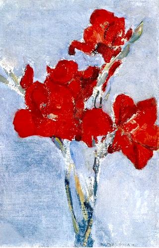 Red Gladioli