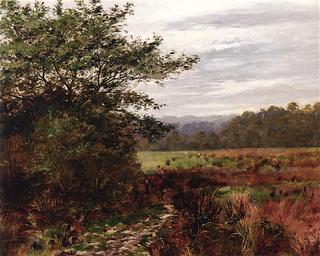 Australian Landscape