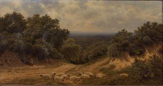 Near Ewhurst, Surrey