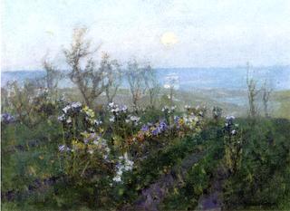 Moonlight across the Bay