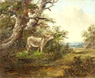 A Donkey in a Wood