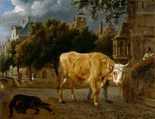 Bull in a city street