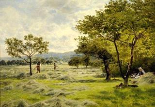The Hayfield