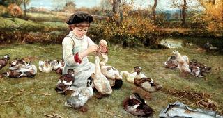 Feeding the Ducks