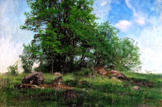 A Summer Pasture