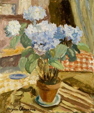 Still Life
