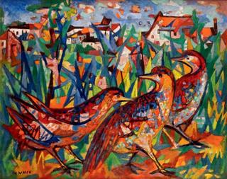 Birds