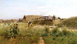 The Sunflower