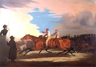 Match between 'Eagle' and 'Eleanor'