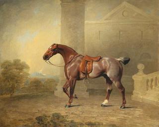 The Prince of Wales's Favourite Roan Hack