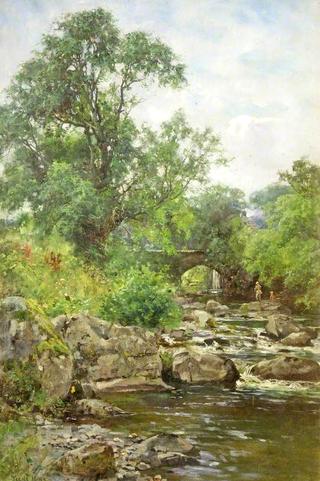 A Trout Stream near Chagford, Devon