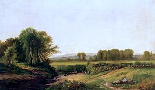 Cows Watering