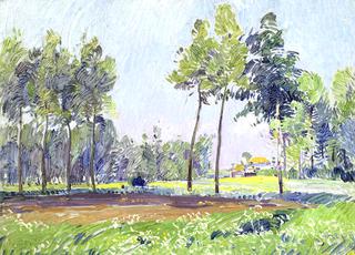 country view