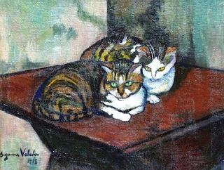 Two Cats