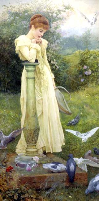 Feeding the Doves