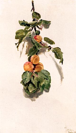 Peaches on a Branch