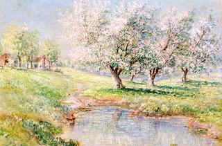 Spring Landscape