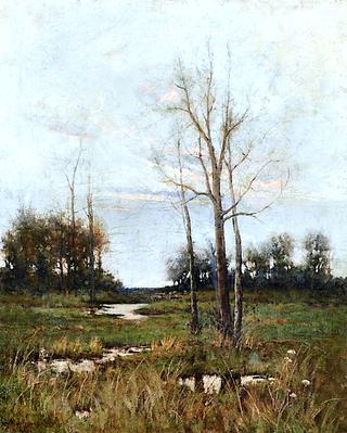 Landscape
