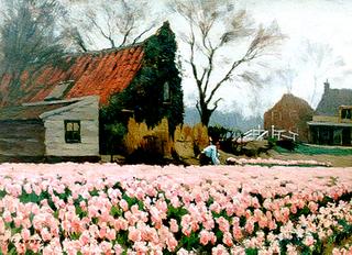 Tulip field in Heemstede
