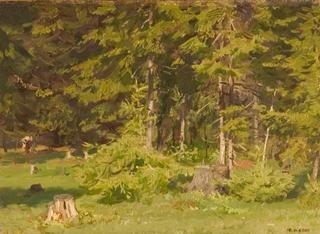 In a Forest