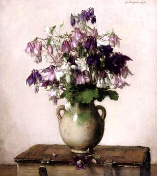 Pink, purple and white columbines