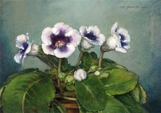 A flower still life with gloxinias