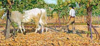 To Furrow